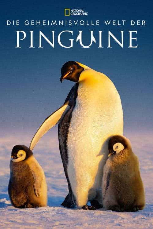 Die geheimnisvolle Welt der Pinguine