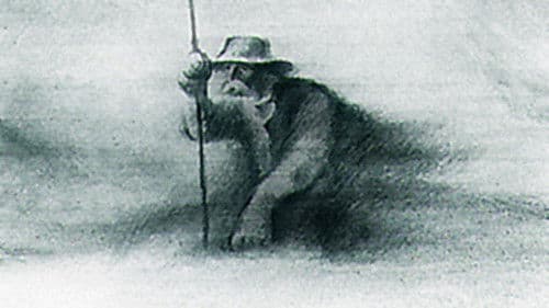 Der Mann, der Bäume pflanzte Bild 3