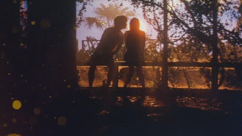 世界の中心で、愛をさけぶ Bild 3