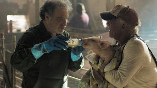 Die Wurzeln des Glücks Bild 5