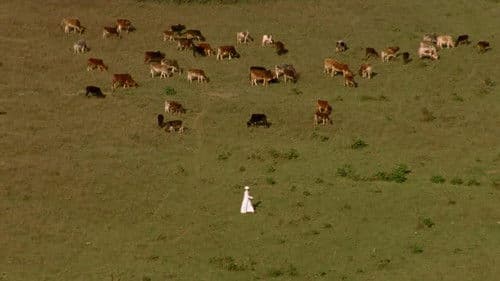 नैनसुख Bild 2