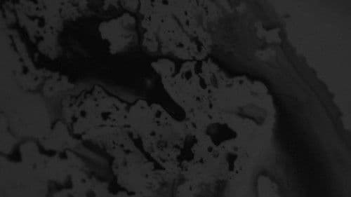 Je peux pas supporter l'éteinte da le douceur dans ce monde Bild 1