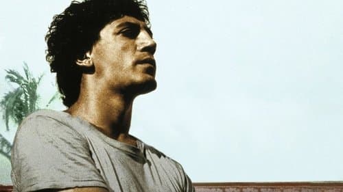 Bevor es Nacht wird Bild 3