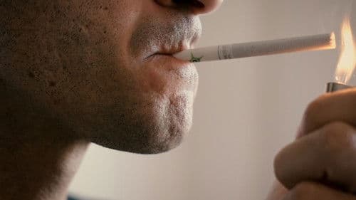 Una mujer de ficción Bild 2