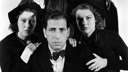 Geheimbund Schwarze Legion Bild 3