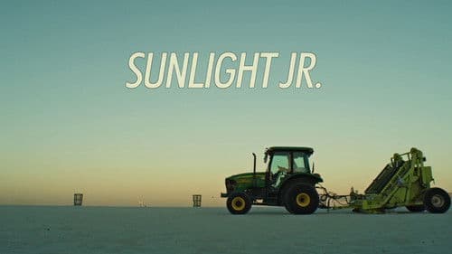 Sunlight Jr. Bild 7