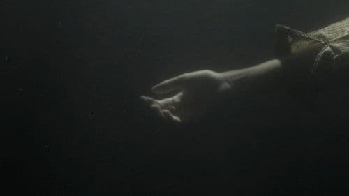 La canción del pantano Bild 6