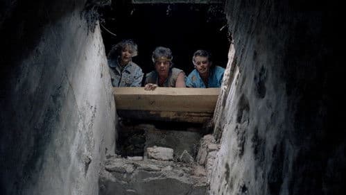 Ladrones de tumbas Bild 6