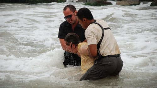 186 Dollars to Freedom Bild 1