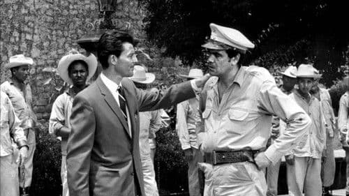 Für ihn verkauf’ ich mich Bild 5