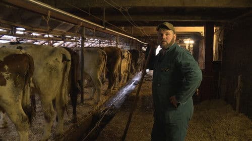 Veearts Maaike Bild 1