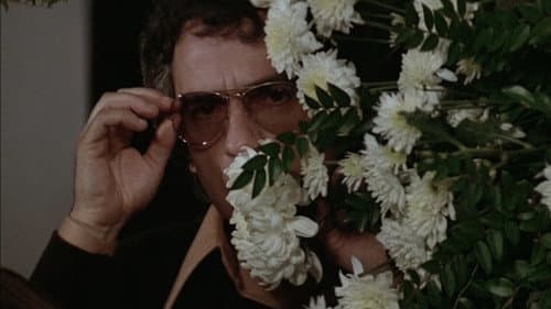 Zehn - Die Traumfrau Bild 3