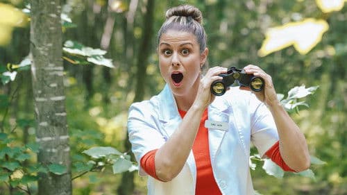 Tout sexplique! Bild 1