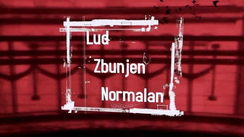 Lud, zbunjen, normalan Bild 6