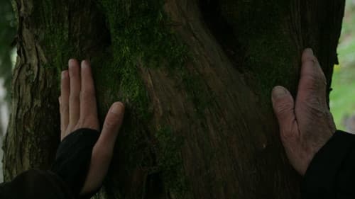 Somos Dois Abismos Bild 1