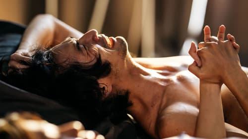 動物感傷の清晨 Bild 6