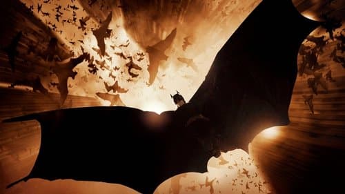 Batman Begins Bild 2