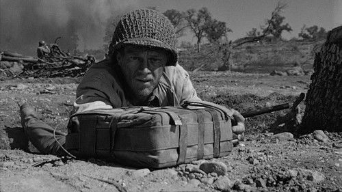 Die ins Gras beißen Bild 8