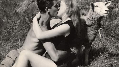 Die jungen Sünder Bild 4