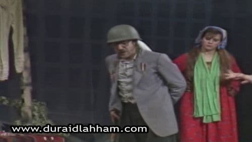 شقائق النعمان Bild 1