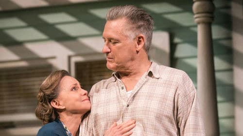 National Theatre Live: All My Sons Bild 5