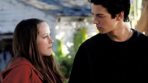 Das Haus am Meer Bild 4