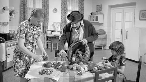 Bohoušův syn Bild 2