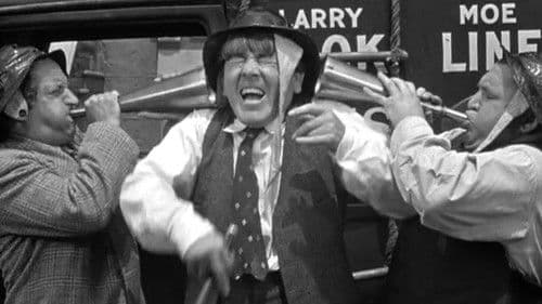 Cookoo Cavaliers Bild 3