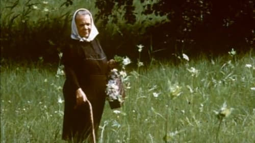 Všichni dobří rodáci Bild 3