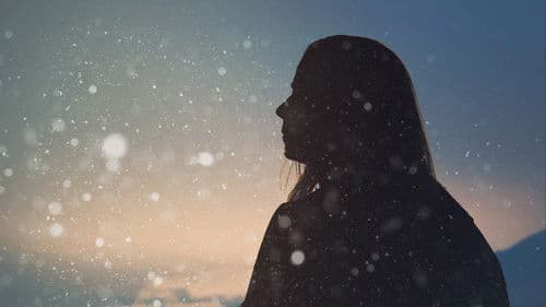 Cold Blooded Alaska Bild 3