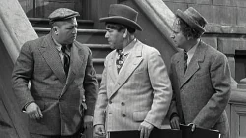 No Census, No Feeling Bild 2