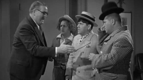 Movie Maniacs Bild 2