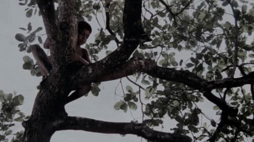 എലിപ്പത്തായം Bild 8