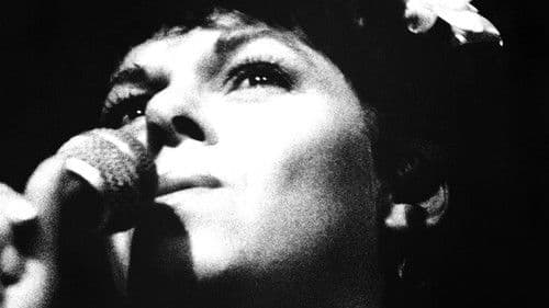 Miúcha, die Stimme der Bossa Nova Bild 1