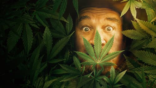 Growing Belushi Bild 7