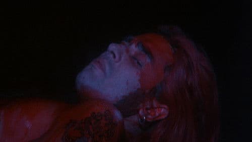 Killer Barbys Bild 4