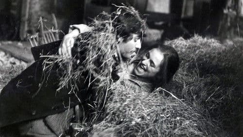 Rdeče klasje Bild 1