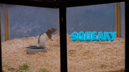 Squeaky the Rat Bild 1