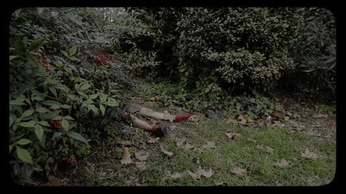 Cuerpos de Maria Bild 1