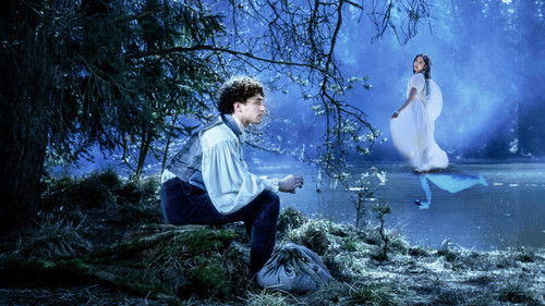 Das Märchen vom Schwanensee Bild 2