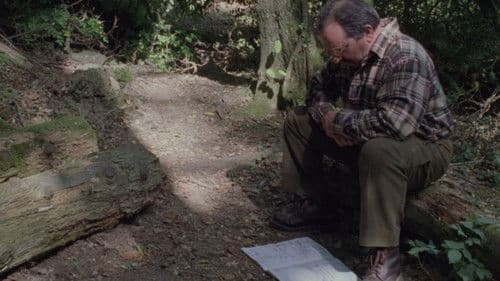 Il ritorno del figlio prodigo - Umiliati Bild 2