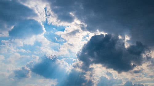 Die Bibel - Die Schöpfung Bild 7