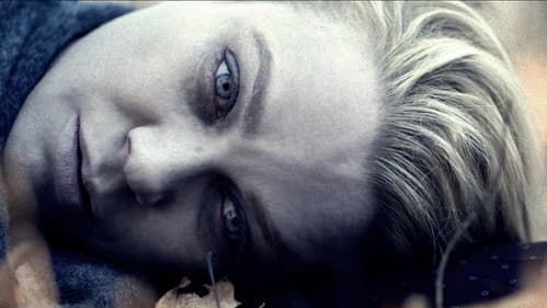 Pyewacket - Tödlicher Fluch Bild 6