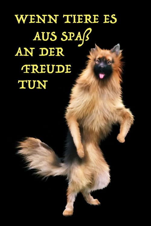 Wenn Tiere es aus Spaß an der Freude tun