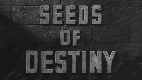 Seeds of Destiny Bild 1