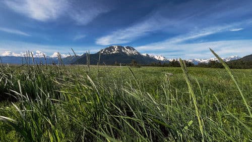 Η ύβρις της ανθρωπότητας Bild 3