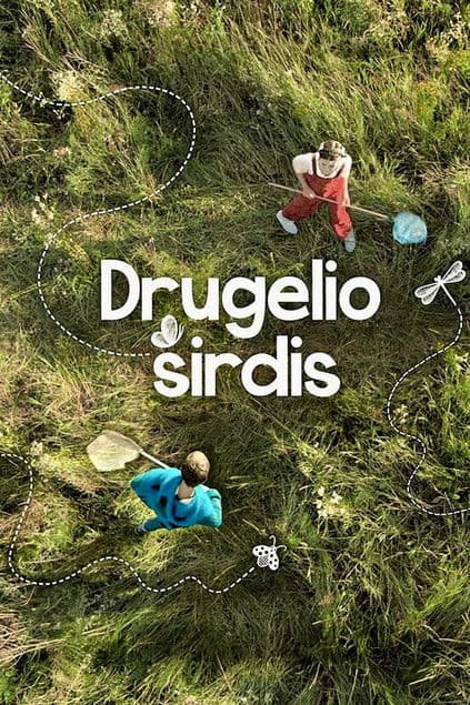 Drugelio širdis