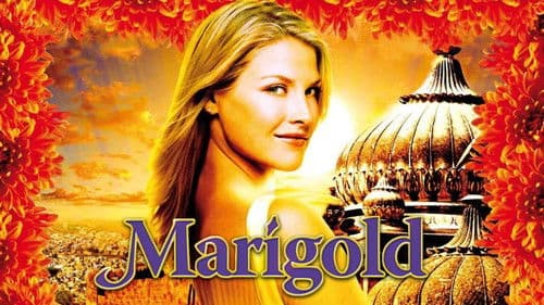 Marigold Bild 1
