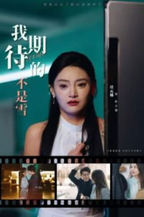 我期待的不是雪