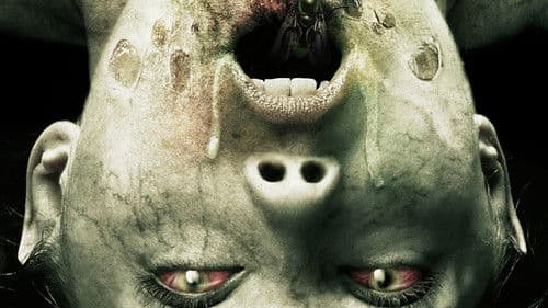 Molly Hartley 2 - Der Exorzismus Bild 3